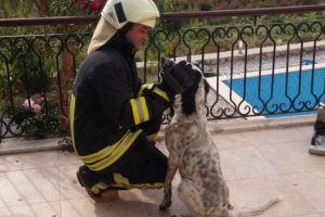 Balkon korkuluğa sıkışan köpeği itfaiye kurtardı