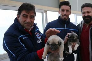 Karaman ve Sosa'dan, kangal çiftliğine ziyaret