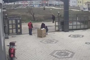 Bursa'da kuşlarına bakan çocukları tekme tokat dövdü