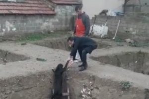 Bursa'da çukura düşen köpeği esnaf kurtardı