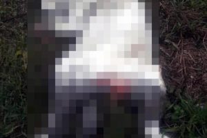 Tecavüze uğradığı iddia edilmişti... Gerçek ortaya çıktı!