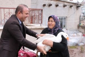 Hindileri çalınan kadına devlet desteği