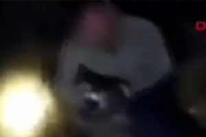 Yavru domuza işkence yapan şahıs gözaltında