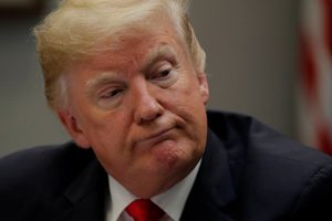 Başını kuma gömen canlıya Trump'ın ismi verildi