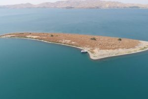 Gölün ortasındaki ada ''tavşanlara'' ev sahipliği yapıyor