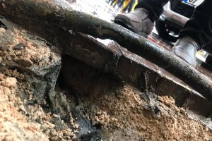 Fareler en işlek caddeyi elektriksiz bıraktı