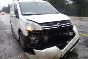 Bursa'da otomobil domuza çarptı