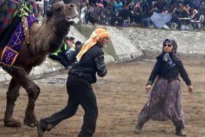Herkes güreşi bıraktı onları izledi!