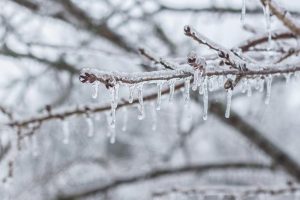 Meteorolojiden 4 il için buzlanma ve don uyarısı