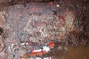Bursa'daki Roma mozaiği 3 yıl kamulaştırma beklemiş