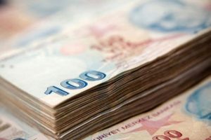 Dar gelirli 'Z kuşağı'na girişimci kredisi