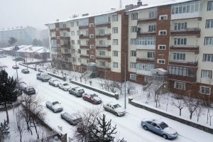 Doğu Anadolu'da kar yağışı etkili oluyor
