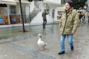 Sokaktaki bu görüntü görenleri gülümsetti