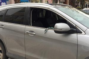 Tuzak kurup 90 bin avrosunu çaldılar