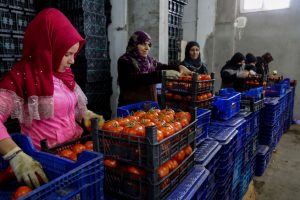 Antalya'dan tanzim satış noktalarına 3 günde 1000 ton sebze gönderildi