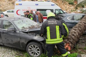 Otomobilin devirdiği ağaç başka bir otomobili hurdaya çevirdi
