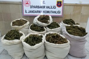 Saman yüklü kamyonda ele geçirildi