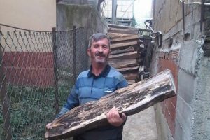Kestiği ağacın altında kaldı!