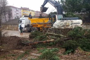 Yol genişletme çalışmaları için ağaçlar kesildi