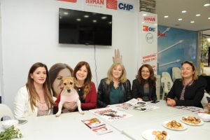 Çalkaya'dan sokak hayvanları için söz
