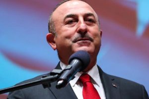 Dışişleri Bakanı Çavuşoğlu'ndan Karadzic mesajı