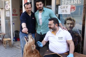 Söylenen sayı kadar havlayıp, yiyeceği alıyor