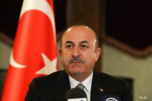 Dışişleri Bakanı Çavuşoğlu, Zambiyalı mevkidaşı Malanji ile görüştü