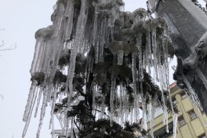 Hava sıcaklığı eksi 8'e düştü, ağalarda buz sarkıtları oluştu