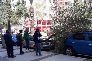 İzmir'de çatılar uçtu, ağaçlar devrildi