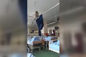 Hastaneyi maymunlar bastı