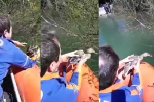 Bursa'da misinaya takılan ördek AFAD tarafından kurtarıldı