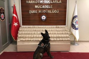 Van'da Alfa yine sahnede: 50 kilo uyuşturucu buldu!