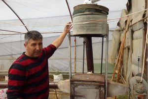 Yarasa gübresi kullanarak üretim yapıyor