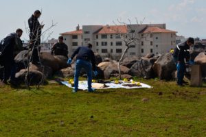 Tarlada çok sayıda mühimmat bulundu