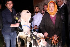 İneği için gözyaşı döken kadına bakan hediyesi