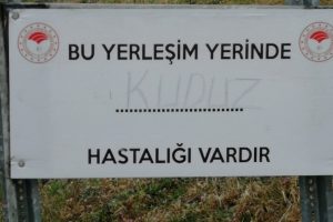 Simav'da kuduz karantinası