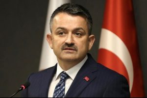 Balık sezonu sona eriyor