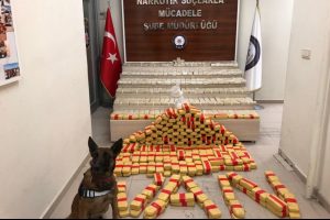 Oyuncak ve ceviz kolilerinden uyuşturucu çıktı