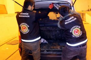 Piyasa değeri yaklaşık 1 milyon lira...Hepsi ele geçirildi!