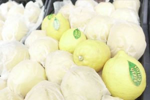 Rusya'ya ihracata domates, mandarin ve limon katkısı