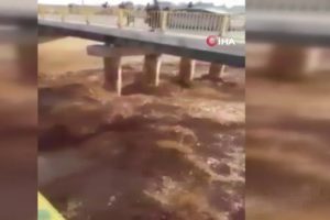 Irak'ı sel vurdu: Bin aile tahliye edildi