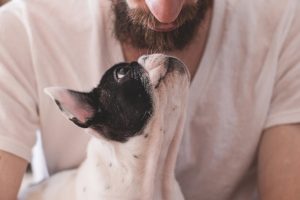 ''Köpekler, sakallı erkeklerden daha temiz''