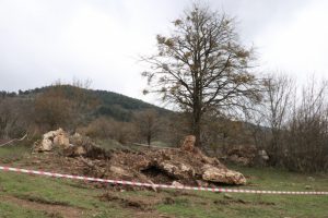 Kaçak kazı operasyonunun detayları ortaya çıktı