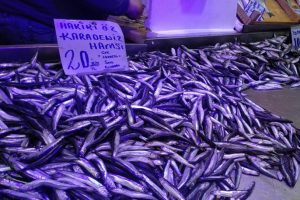 Bursa'daki balık tezgahları güneşi bekliyor (ÖZEL HABER)