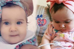 Nisa'dan kahreden haber geldi