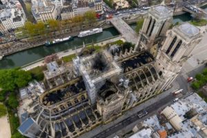 Notre Dame Katedrali'ndeki arılar kurtuldu