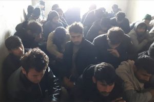 Van'da 261 düzensiz göçmen yakalandı