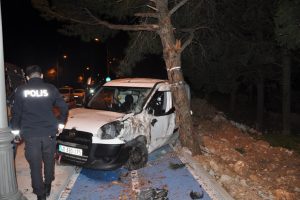 Köpeğe çarpmamak için kaza yaptı