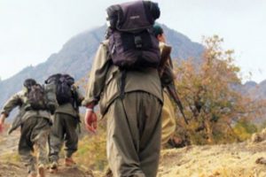 Hakkari'de 4 terörist etkisiz hale getirildi