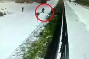 İşçilerin beslediği köpeği çitlerin üstünden kaldırıma fırlattı